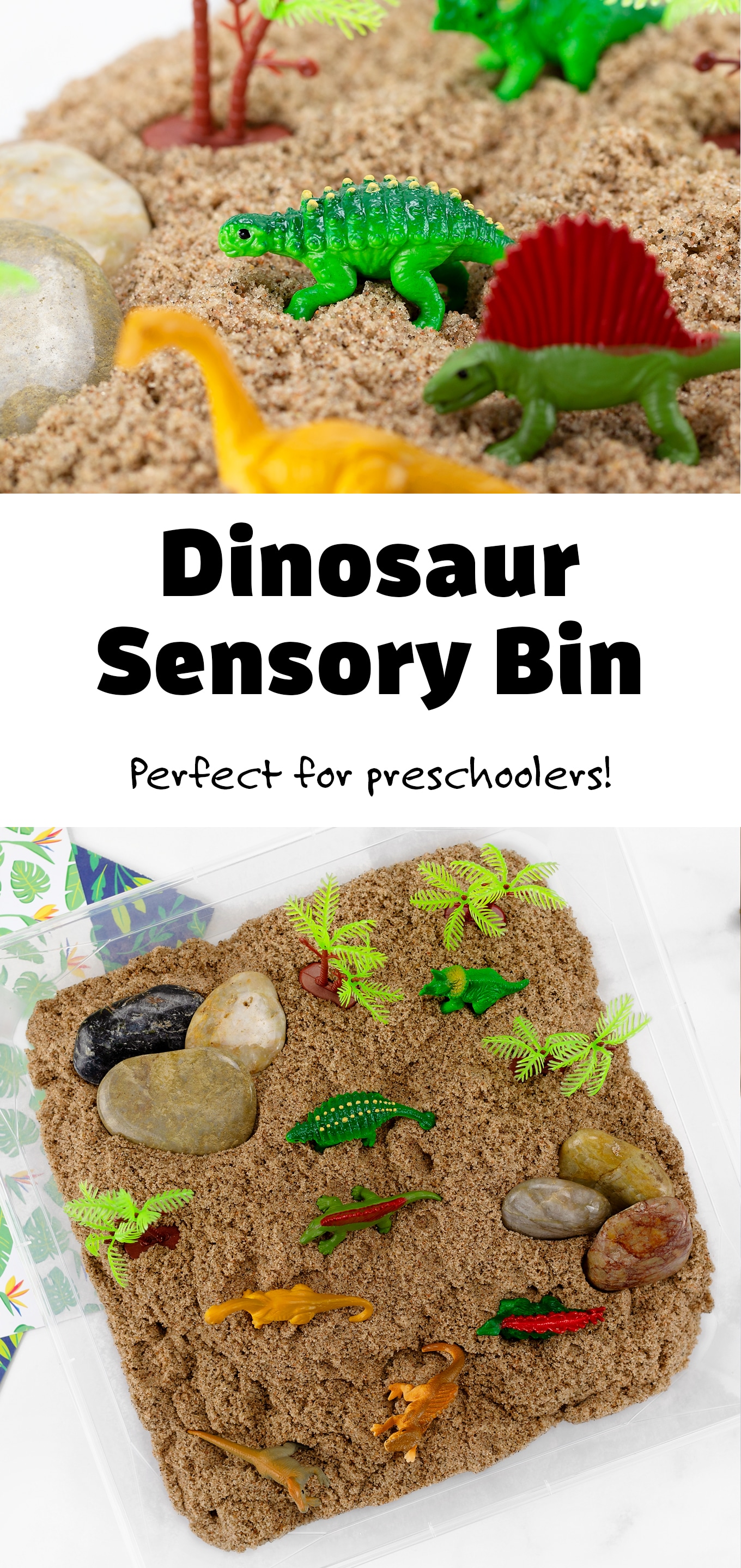 dinosaur sensory