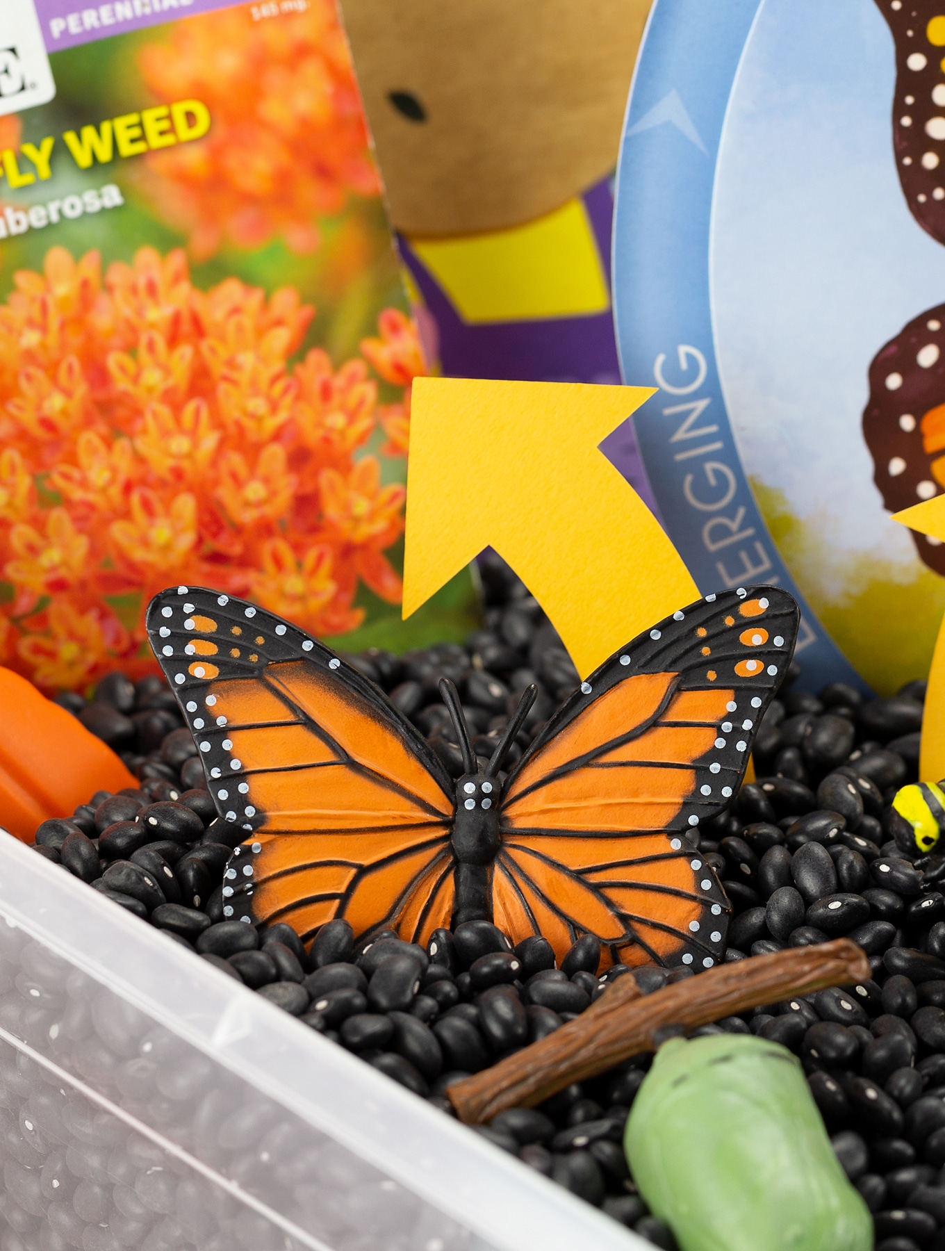 Life Cycle Of A Butterfly Activity | Fireflies And Mud Pies