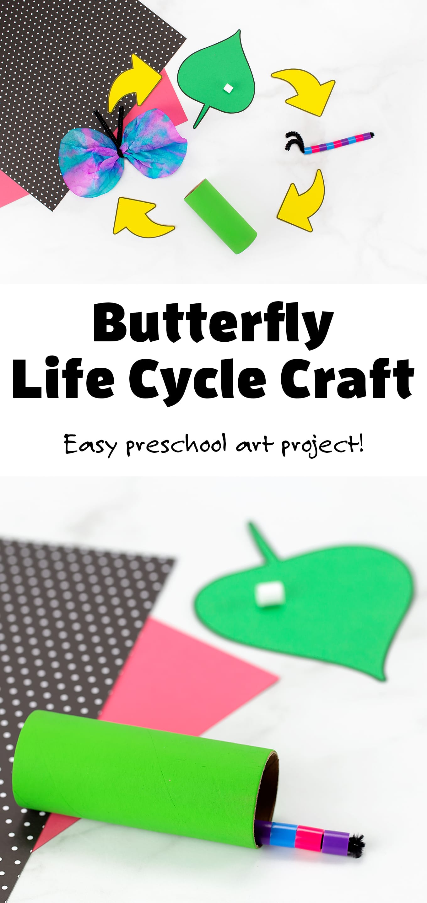 Butterfly Life Cycle Printable Craft