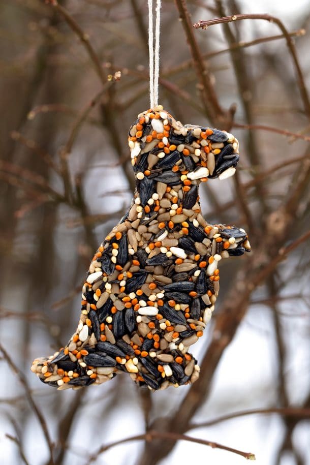 How To Make Homemade Bird Seed