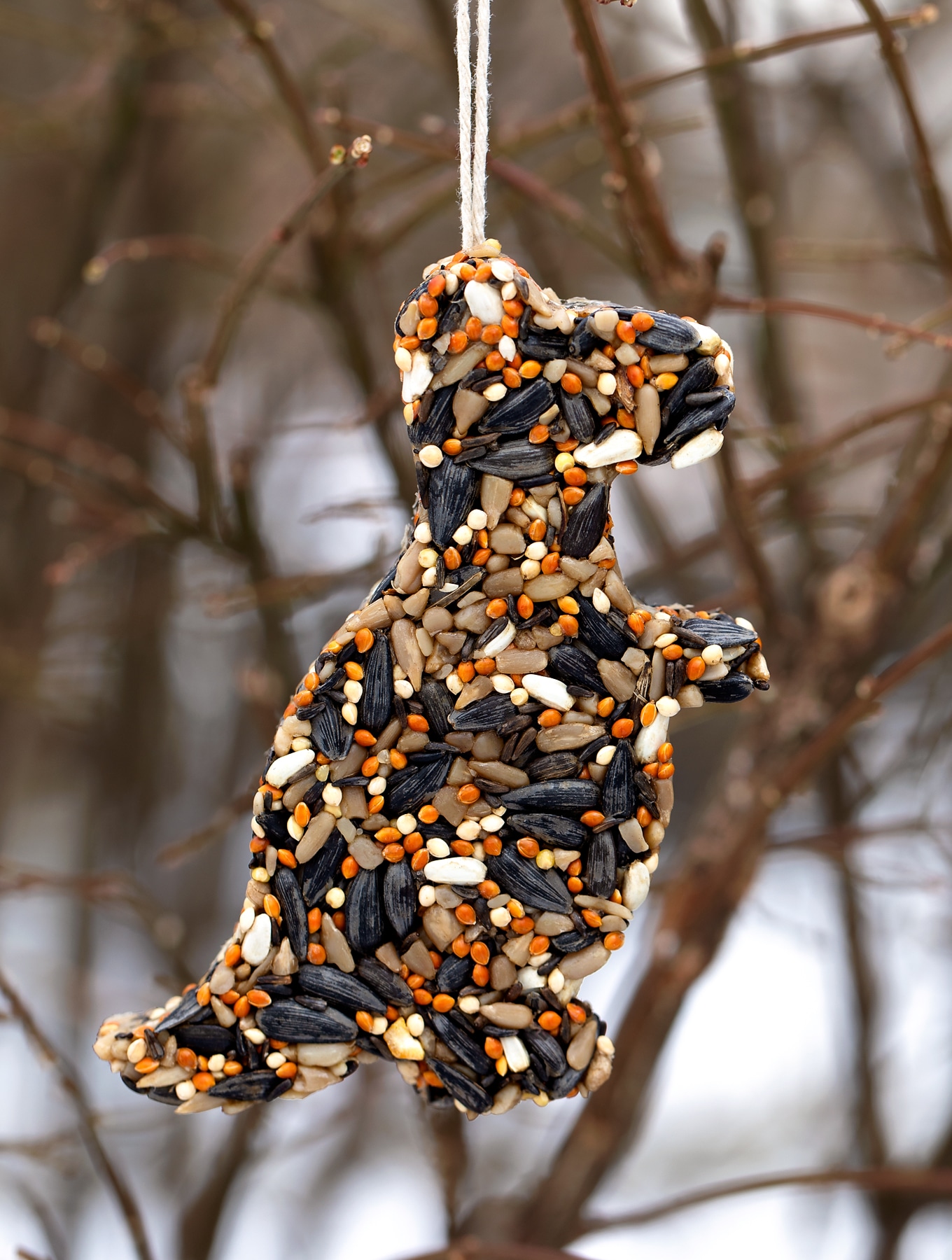 birdseed ornaments safe for birds