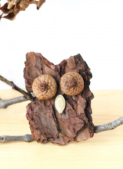 Nature Owl Craft for Kids