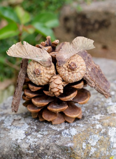 Pine Cone Owl Craft