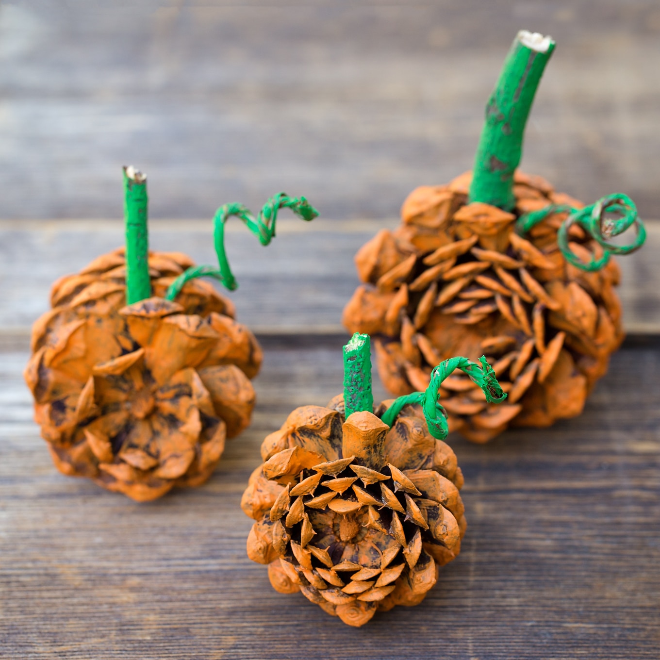 Rustic Pine Cone Pumpkins