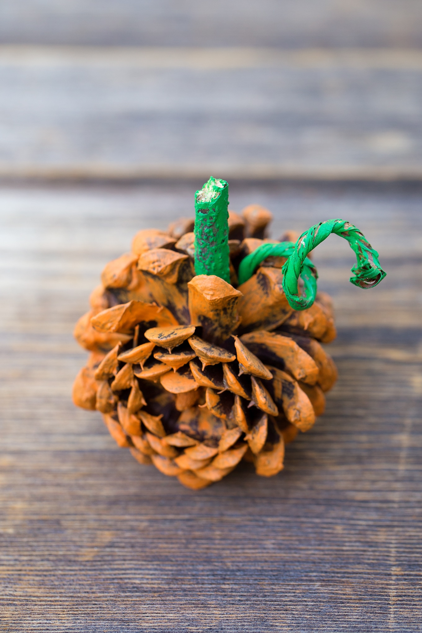 Easy and Fun Fall Pine Cone Pumpkin Nature Craft