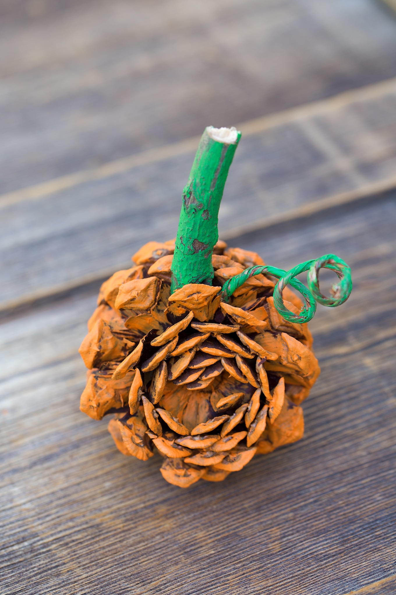 Make a Pine Cone Pumpkin