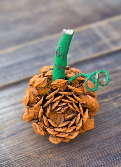 Pine Cone Pumpkin