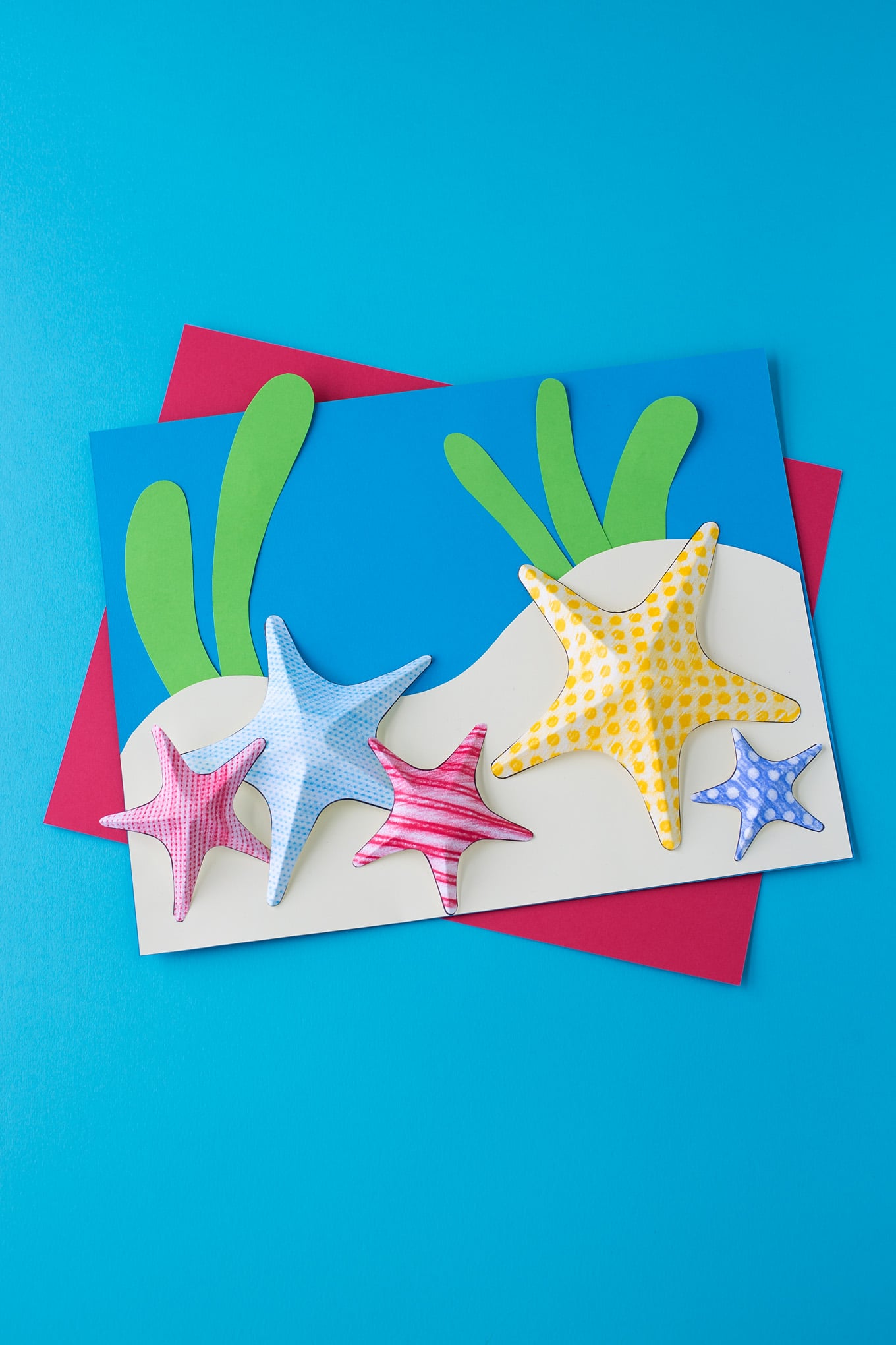 starfish paper plates