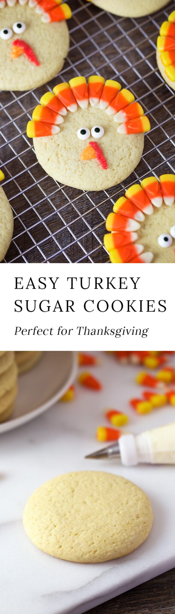 Turkey Sugar Cookies